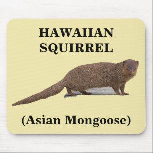 Hawaiian Squirrel (Asian Mongoose) Mousepad