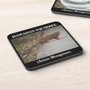 Hawaiian Squirrel (Asian Mongoose) Plastic Coaster