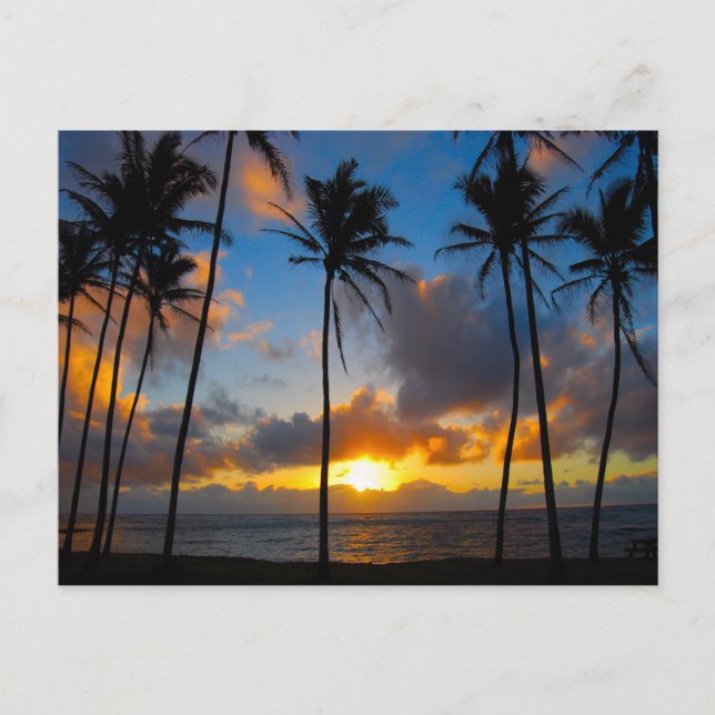 Hawaiian Sunrise Postcard (Front)