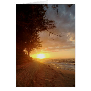 Hawaiian Sunset