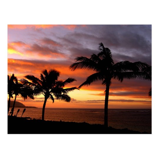 Hawaiian Sunset Postcard