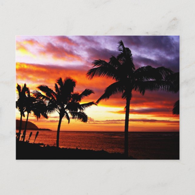 Hawaiian Sunset Postcard (Front)