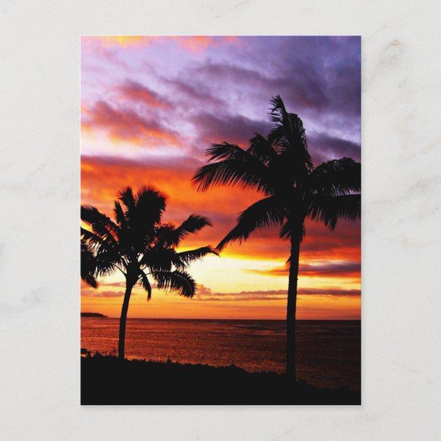 Hawaiian Sunset print Postcard (Front)