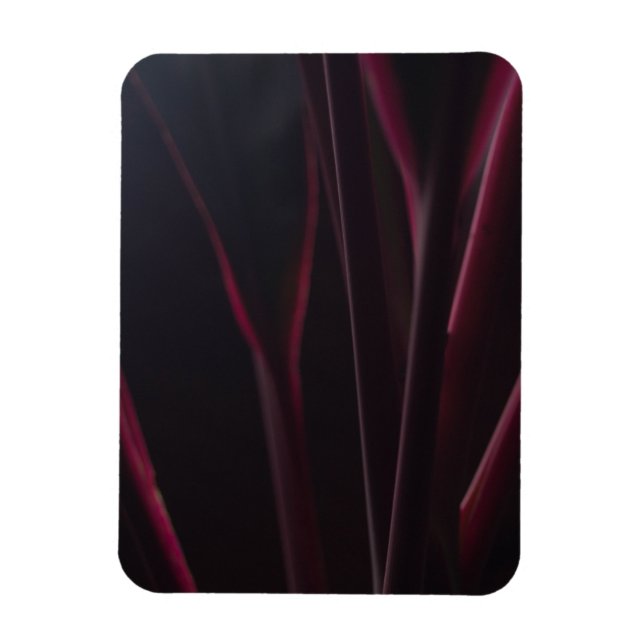 Hawaiian Ti Plant Magnet (Vertical)