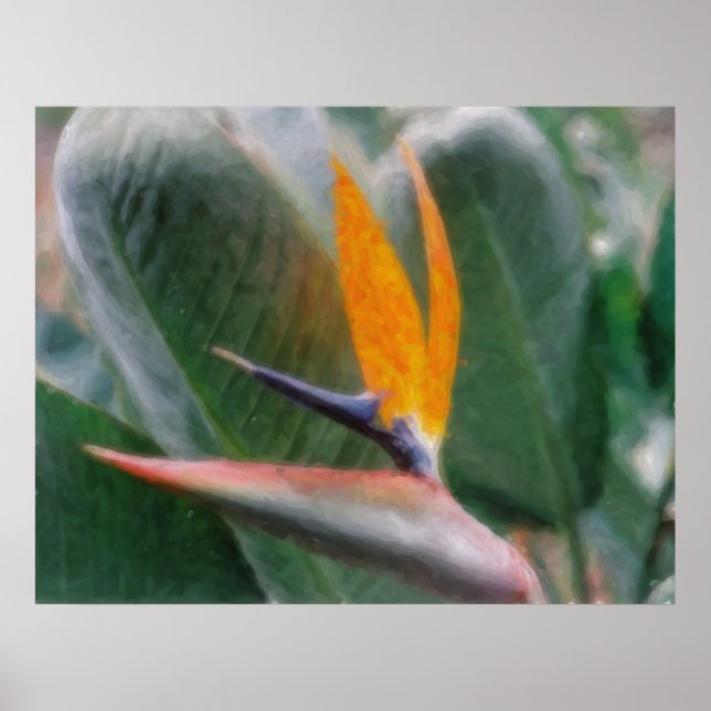 Hawaiian Tropical Bird of Paradise Poster (Front)