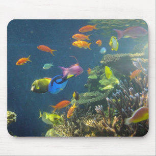 Hawaiian Tropical Fish Mouse Mat