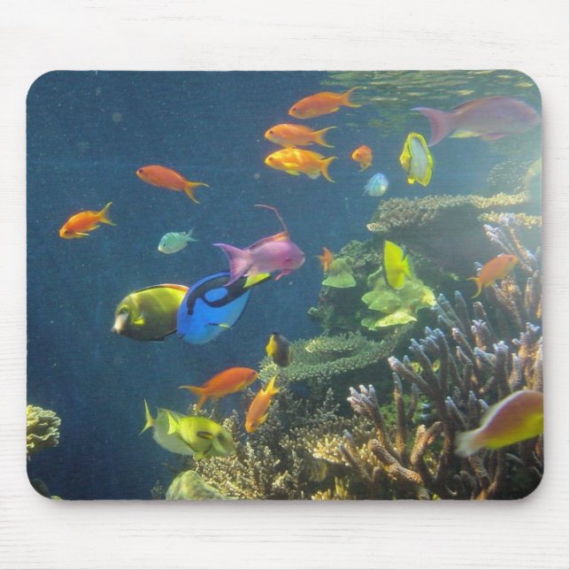Hawaiian Tropical Fish Mouse Mat (Front)