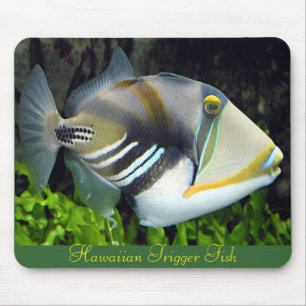 Hawaiian Tropical Fish Mousepad