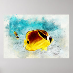 Hawaiian Tropical Fish Watercolor - Butterflyfish Poster