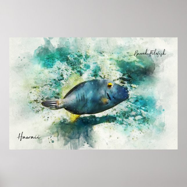 Hawaiian Tropical Fish Watercolor - Filefish Poster (Front)