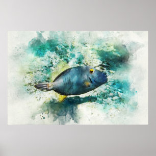 Hawaiian Tropical Fish Watercolor - Filefish Poster