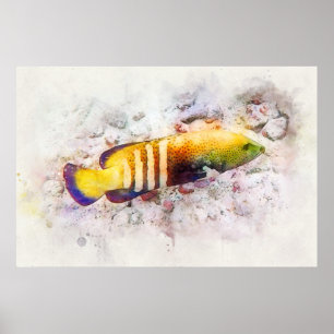 Hawaiian Tropical Fish Watercolor - Grouper Poster
