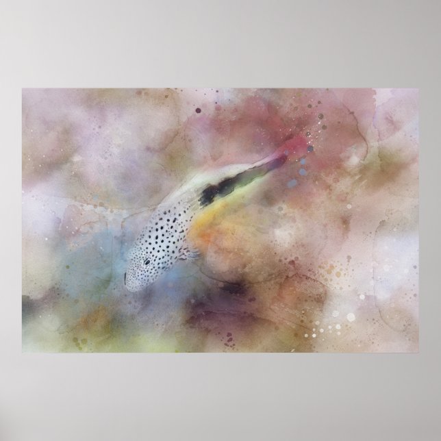 Hawaiian Tropical Fish Watercolor - Hawkfish Poster (Front)