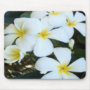 Hawaiian tropical flowers mouse mat