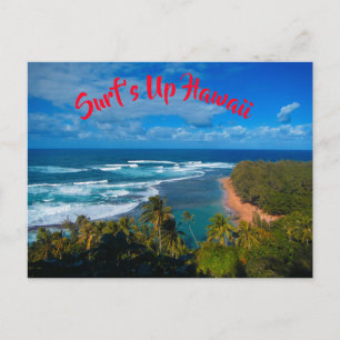 Hawaiian Tropical Island Postcard