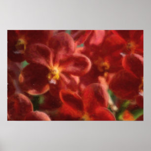 Hawaiian Tropical Orchid Poster