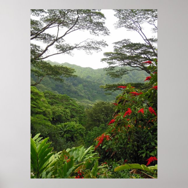 Hawaiian Tropical Rain Forest Poster (Front)