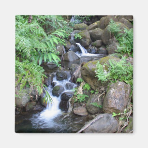 Hawaiian Tropical Stream Magnet