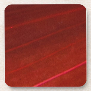 Hawaiian Variegated Red Leaf 4 Coaster