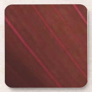 Hawaiian Variegated Red Leaf 5 Coaster