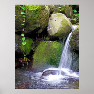 Hawaiian Waterfall Poster