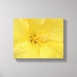 Hawaiian Yellow Hibiscus Fine Art Photo Canvas Print