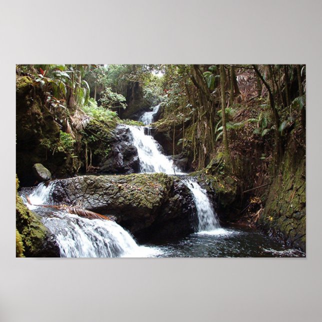 Hawaiin Waterfalls Poster (Front)
