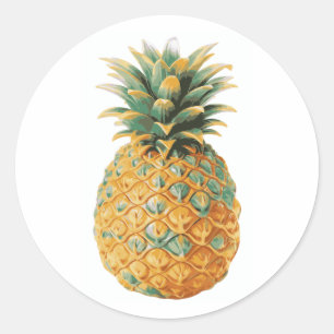 Hawiian Tropical Pineapple Classic Round Sticker