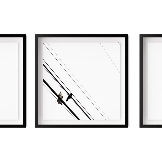 Hawk and Crow on Powerlines Poster (Creator Uploaded)