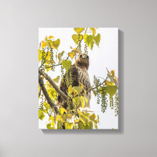 Hawk And Hearts Canvas Print