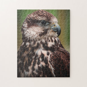 Hawk Bird of Prey Jigsaw Puzzle