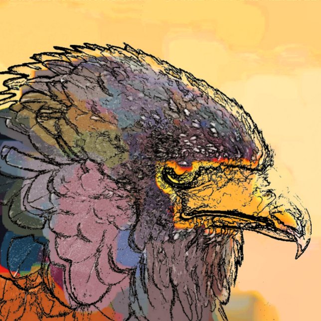 HAWK BOTTLE OPENER (A vibrant art design of a Harris Hawk bird of prey.)