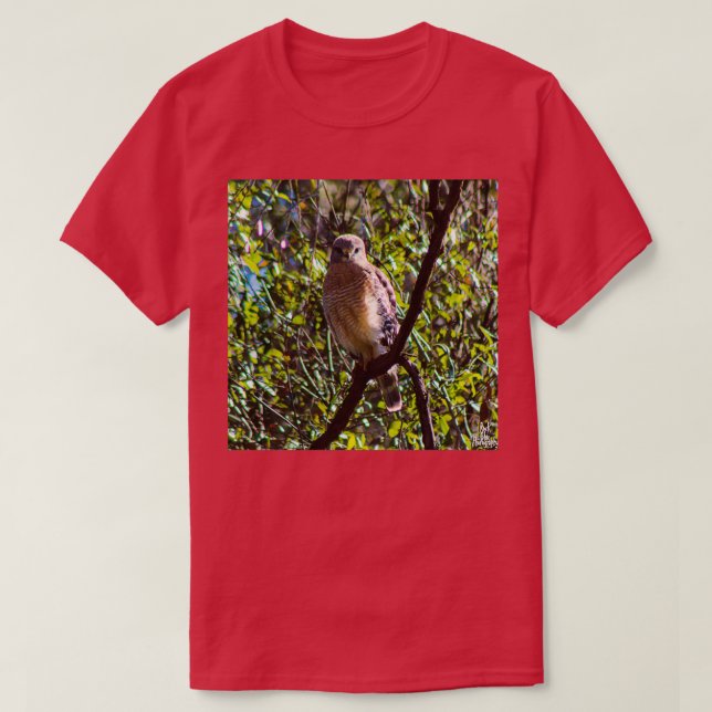 Hawk by Rockchic Photography T-Shirt (Design Front)