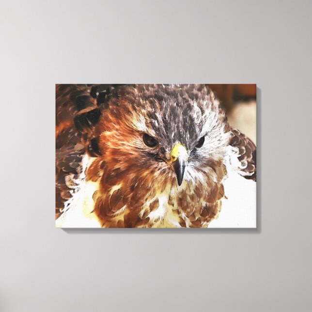 HAWK CANVAS PRINT (Front)