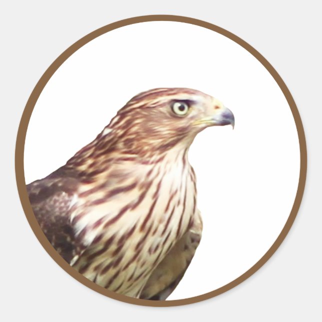 Hawk Classic Round Sticker (Front)