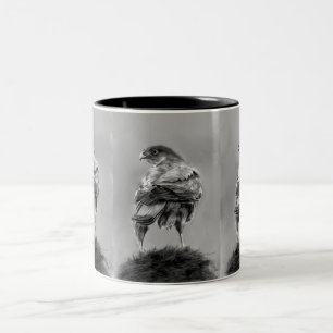 Hawk Coffee mug