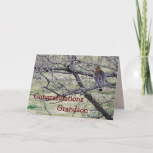 Hawk Congratulations - customise any occasion Card
