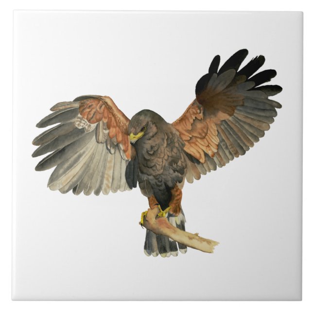 Hawk Flapping Wings Watercolor Painting Tile (Front)