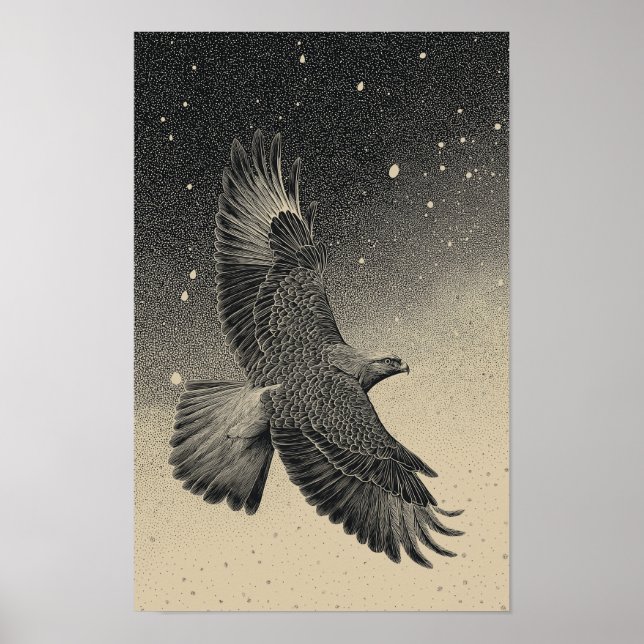 Hawk in a starry night sky poster (Front)