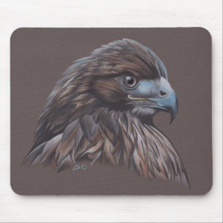 Hawk in Coloured Pencil Mouse Mat