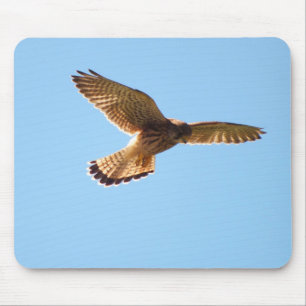 Hawk in flight mouse mat