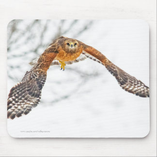 Hawk in Flight Mouse Mat