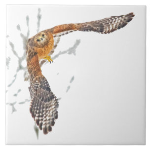 Hawk in Flight Tile