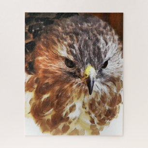HAWK   JIGSAW PUZZLE