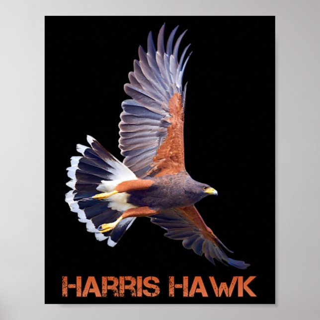 Hawk Kamala Harris For President  Poster (Front)