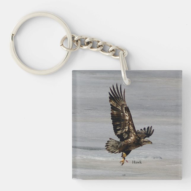 Hawk key chain (Front)
