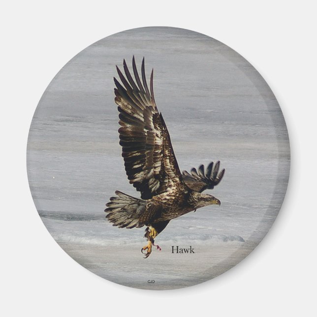 Hawk magnet (Front)