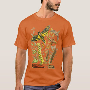 Hawk Moth Caterpillar Vintage Scientific Entomolog T-Shirt