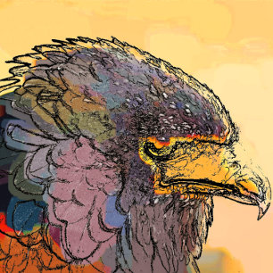 HAWK MOUSE MAT