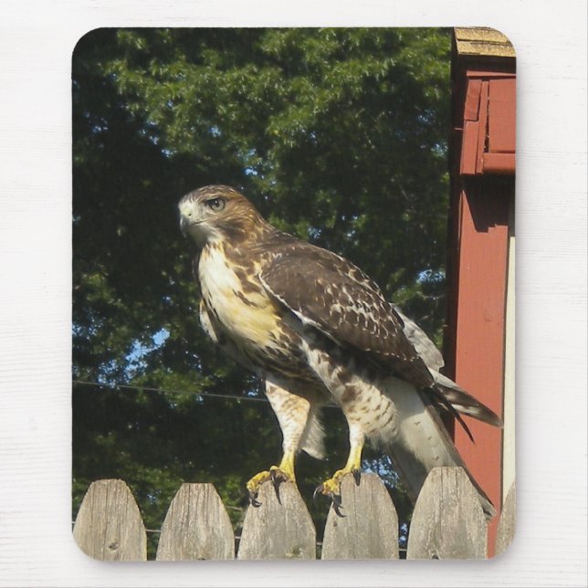 Hawk Mousepad (Front)